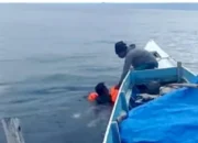 Dua Nelayan Asal Desa Kuwo Hilang Kontak, Tim SAR Ternate Lakukan Pencarian