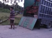 Marak Illegal Logging di Gane Timur Tengah, Kayu Diduga Mengalir hingga Tidore dan Ternate