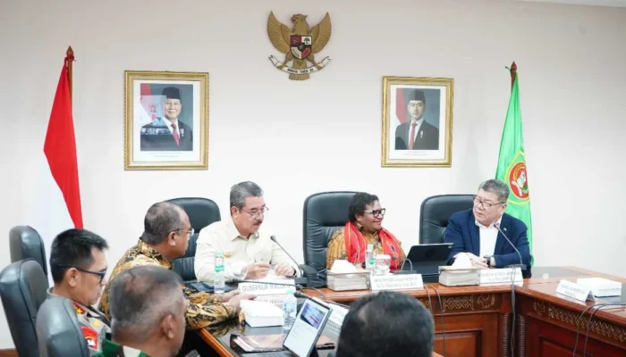 Wamendagri Ribka Haluk Dorong Percepatan Program Strategis Nasional di Maluku